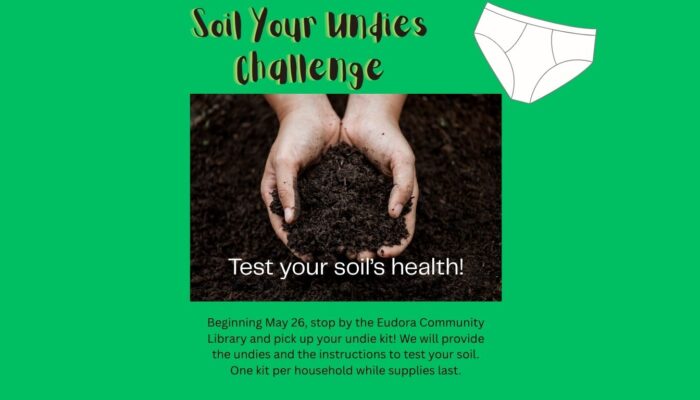 Soil Your Undies Challenge (Website)