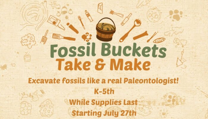 Fossil Buckets Take & Make Graphic Website Brown and sunny background, with a see through Glass Dino, Dino Suncatchers, Take & Make, Starting July 6th, Until Supplies last, Pre-K - 5th Grade